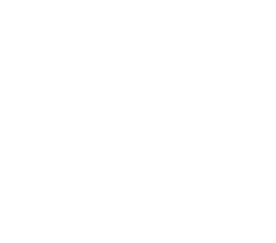 Chuka Animal Clinic logo icon